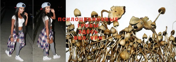 jwh Куйбышев